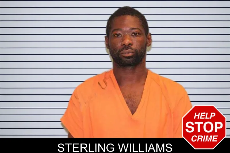 Sterling Williams mugshot
