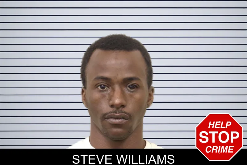 Steve Williams mugshot