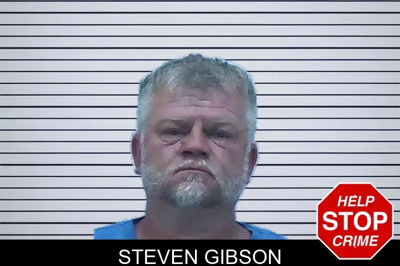 Steven Gibson mugshot