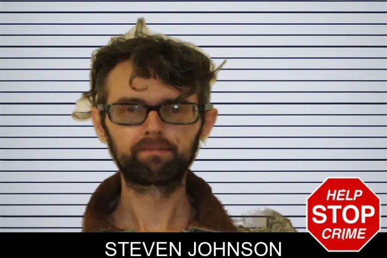 Steven Johnson