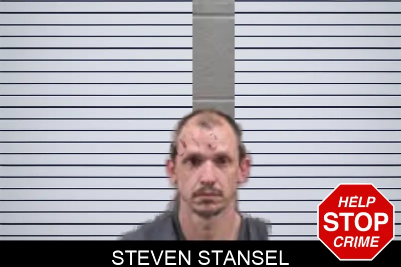 Steven Stansel mugshot