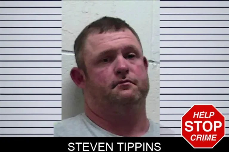 Steven Tippins