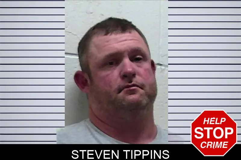 Steven Tippins mugshot