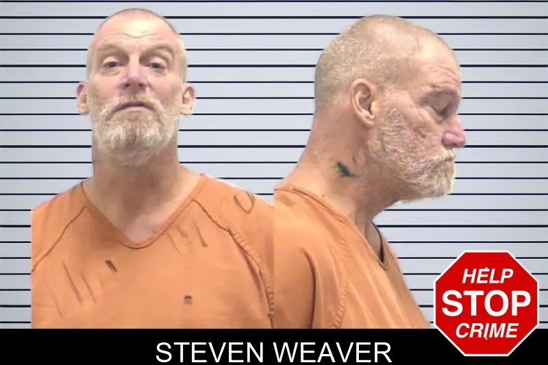 Steven Weaver mugshot