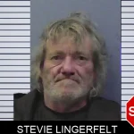 Stevie Lingerfelt mugshot