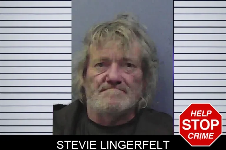 Stevie Lingerfelt mugshot – Chattooga County , Georgia Stevie Lingerfelt