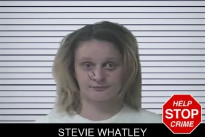 Stevie Whatley mugshot