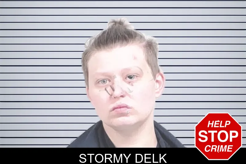 Stormy Delk mugshot – Lowndes County , Georgia Stormy Delk mugshot