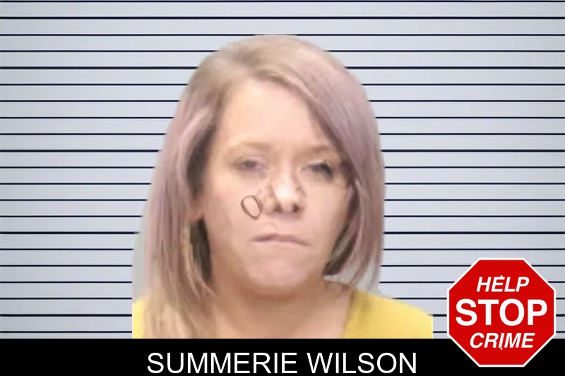 Summerie Wilson mugshot