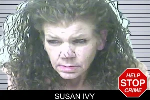 Susan Ivy mugshot