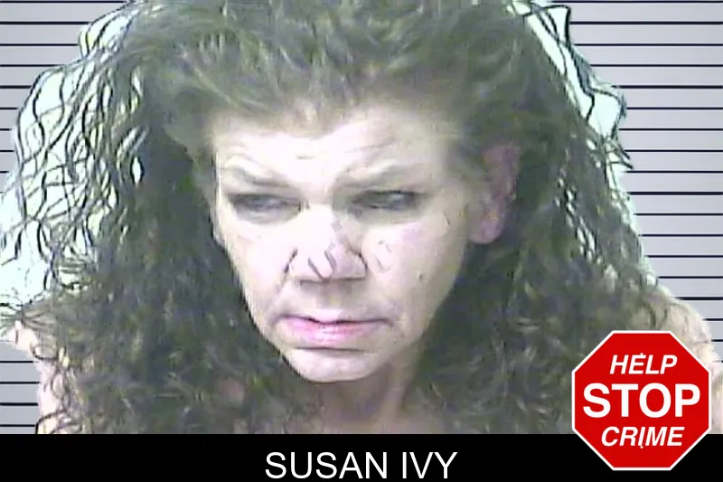 Susan Ivy mugshot