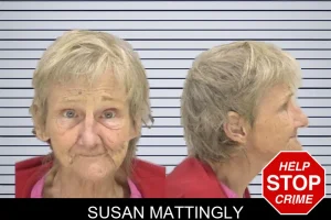 Susan Mattingly mugshot