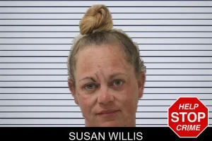 Susan Willis mugshot
