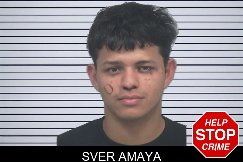 Sver Amaya mugshot