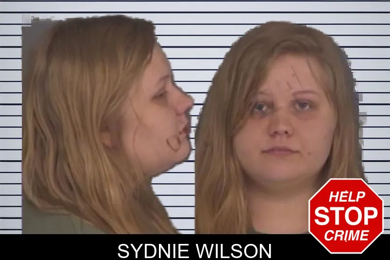 Sydnie Wilson mugshot