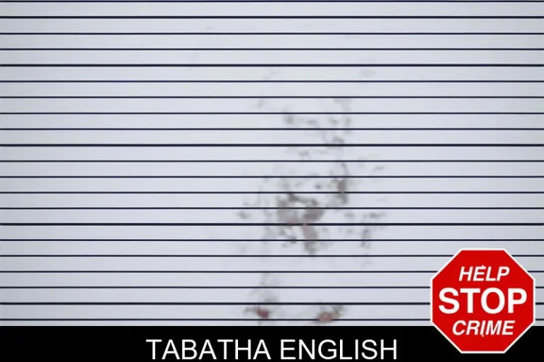 Tabatha English mugshot – Tattnall County , Georgia Tabatha English