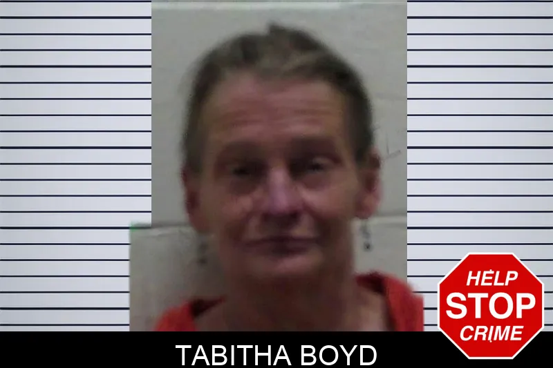 Tabitha Boyd mugshot – Pierce County , Georgia Tabitha Boyd mugshot