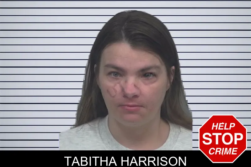 Tabitha Harrison mugshot