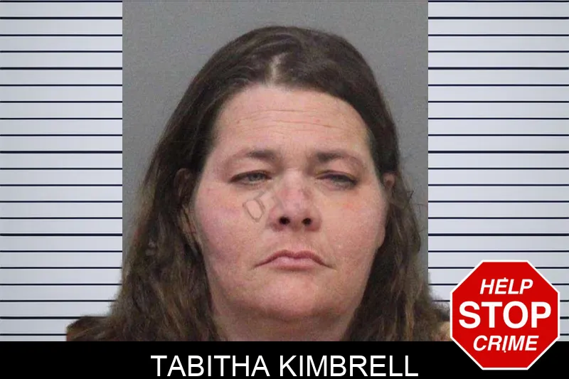 Tabitha Kimbrell mugshot – White County , Georgia Tabitha Kimbrell mugshot