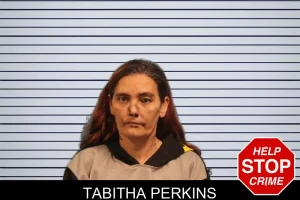 Tabitha Perkins mugshot