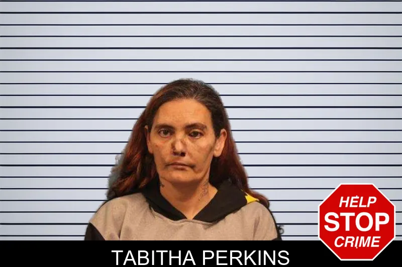 Tabitha Perkins mugshot – Monroe County , Georgia Tabitha Perkins mugshot