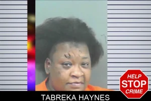 Tabreka Haynes mugshot
