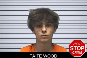 Taite Wood mugshot