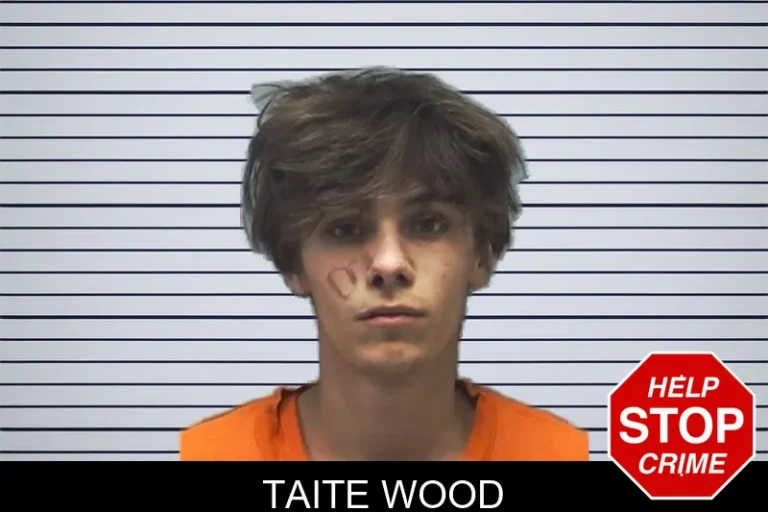 Taite Wood mugshot – Cherokee County , Georgia Taite Wood