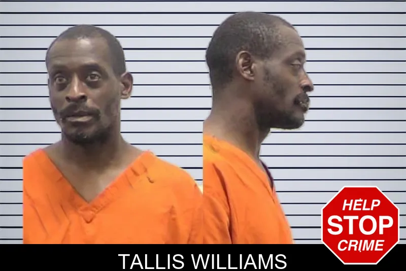 Tallis Williams mugshot