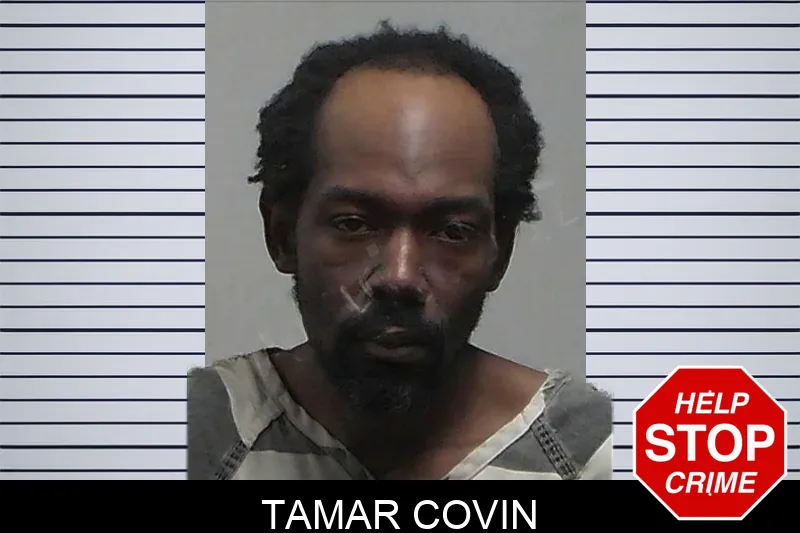 Tamar Covin mugshot