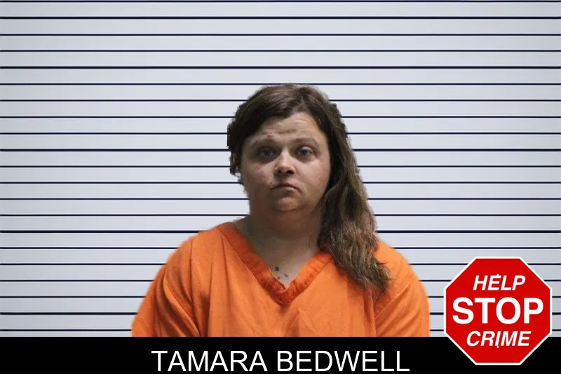 Tamara Bedwell mugshot – Murray County , Georgia Tamara Bedwell mugshot