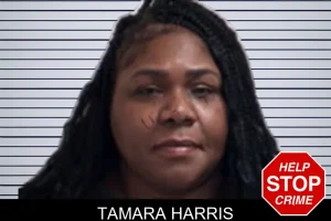 Tamara Harris mugshot