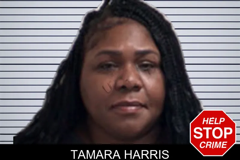 Tamara Harris mugshot