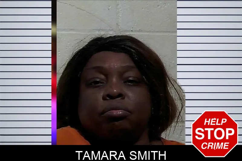 Tamara Smith mugshot – Pierce County , Georgia Tamara Smith mugshot
