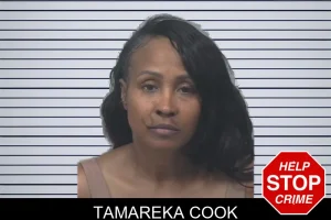 Tamareka Cook mugshot
