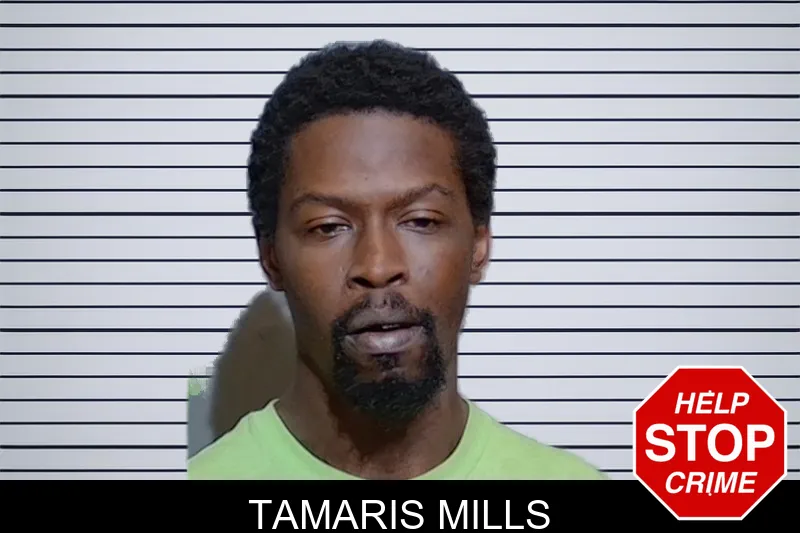 Tamaris Mills mugshot