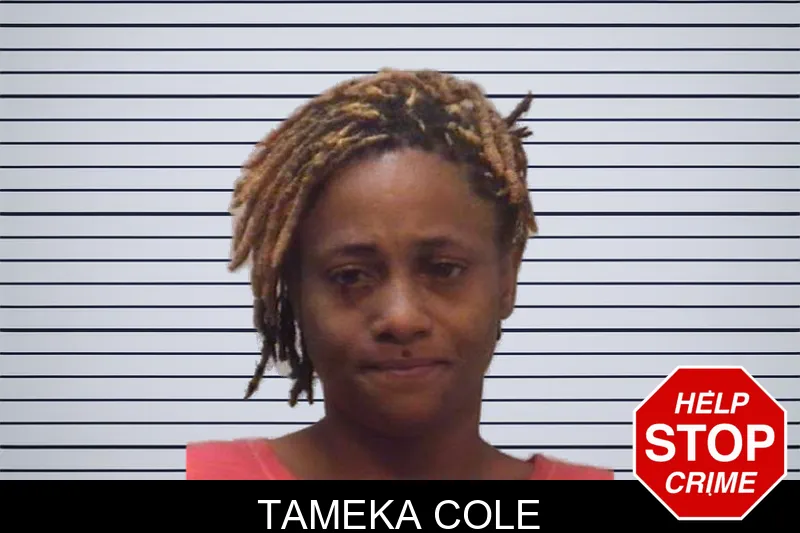 Tameka Cole mugshot