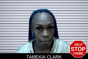 Tamekia Clark mugshot