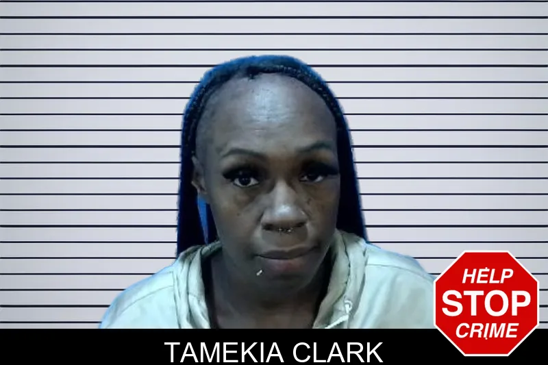 Tamekia Clark mugshot