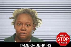 Tamekia Jenkins mugshot