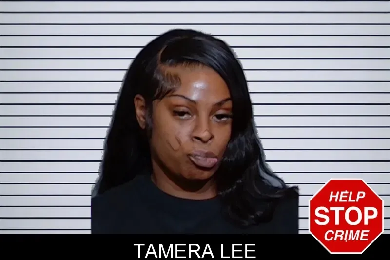 Tamera Lee mugshot