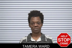 Tamera Ward mugshot