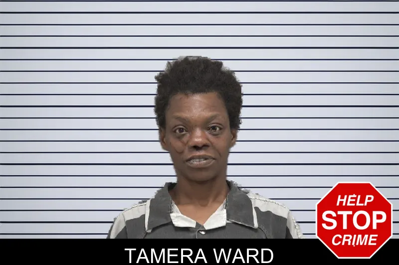 Tamera Ward mugshot
