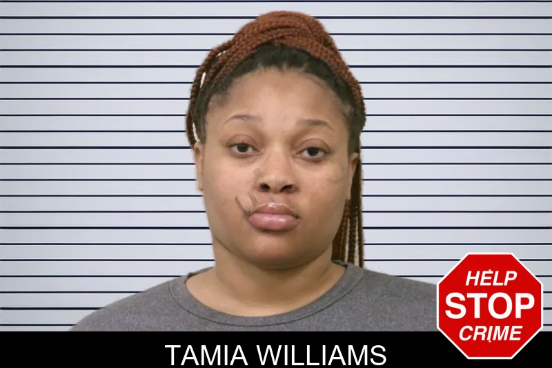 Tamia Williams mugshot – Bulloch County , Georgia Tamia Williams mugshot