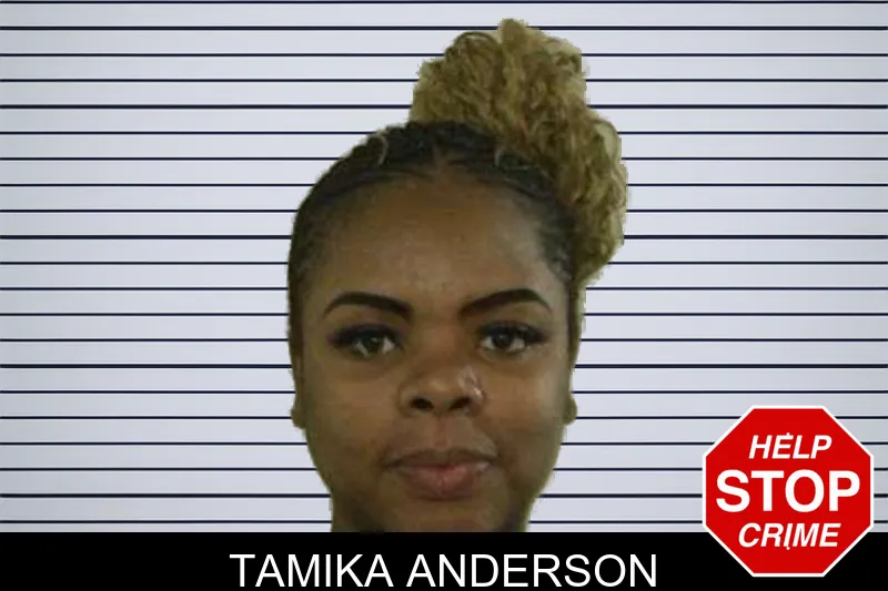 Tamika Anderson mugshot
