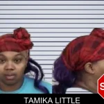 Tamika Little mugshot – Camden County , Georgia Tamika Little mugshot