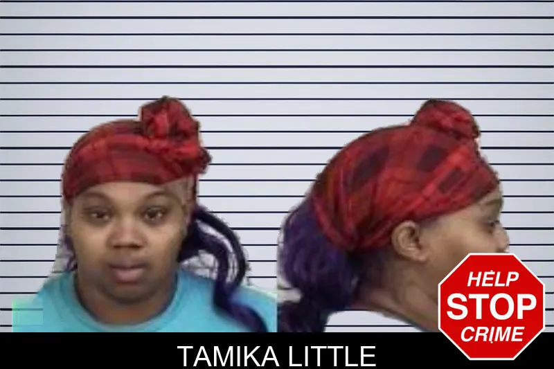 Tamika Little mugshot