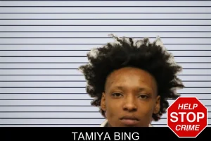 Tamiya Bing mugshot