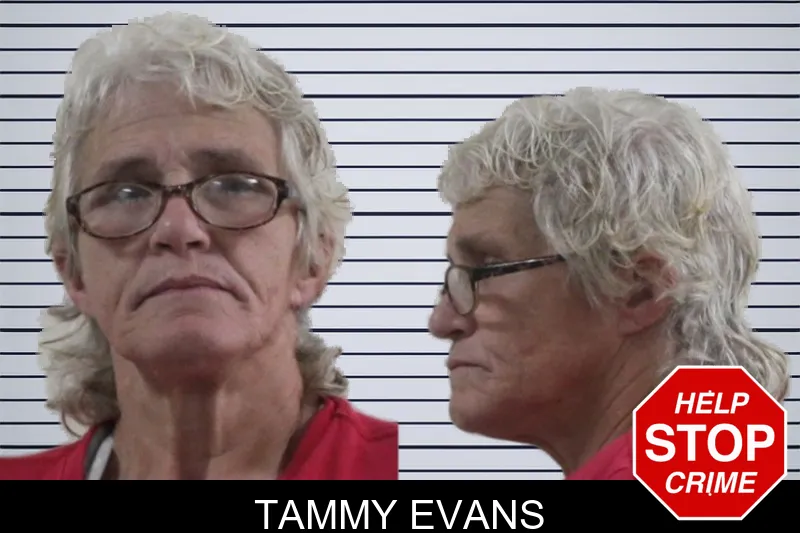 Tammy Evans mugshot – Houston County , Georgia Tammy Evans mugshot