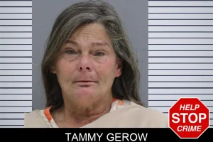 Tammy Gerow mugshot